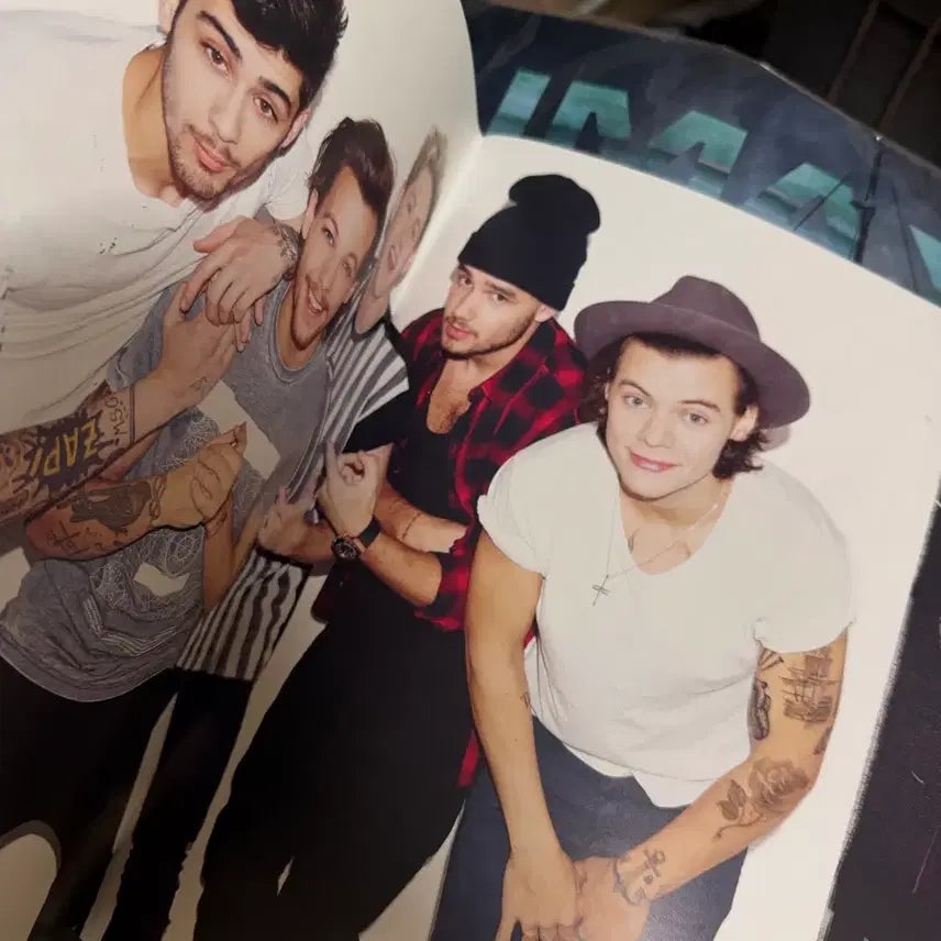 [BUNJANG] One Direction Book/Magazine LP Size / 원디렉션 팔아요