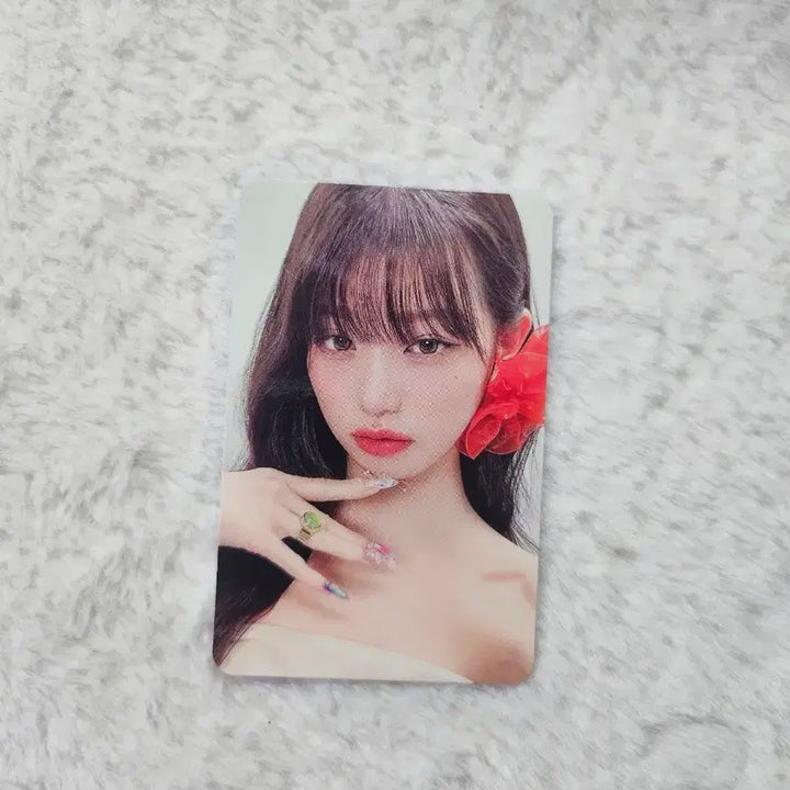 [BUNJANG] IVE Wonyoung Photocard / 아이브 원영 포카