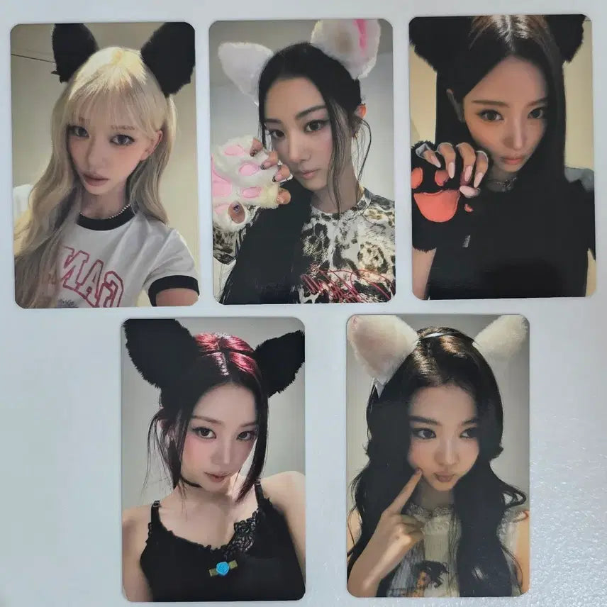 [BUNJANG] Miyao Music Plant Fan Sign Photocard / 미야오 뮤직플랜트 팬사인회 포토카드