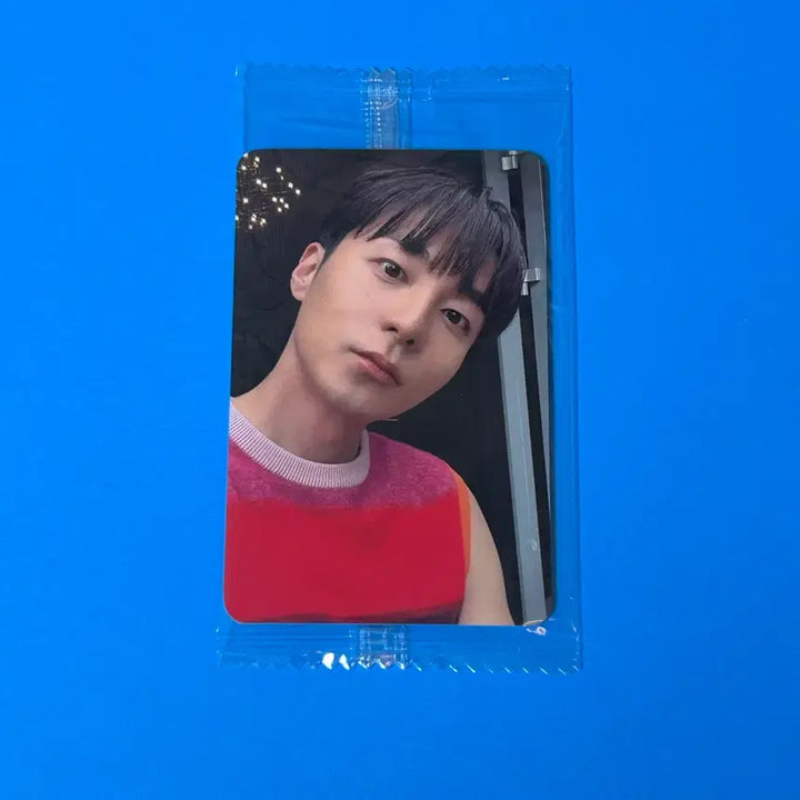 [BUNJANG] Roy Kim &