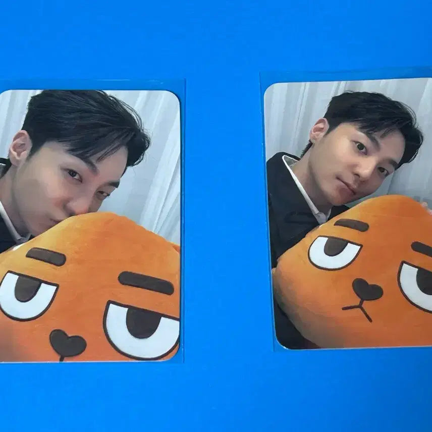 [BUNJANG] Roy Kim Rocks Body Pillow Photocard Bundle Set / 로이킴 록스 바디필로우 포카