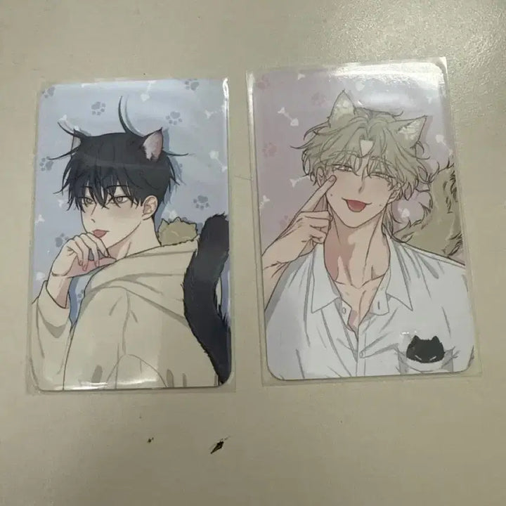 [BUNJANG] Mulgaeui Bam Mulgae Nyi Bundle Set Photocard / 물가의밤 물가냥이 포토카드 일괄