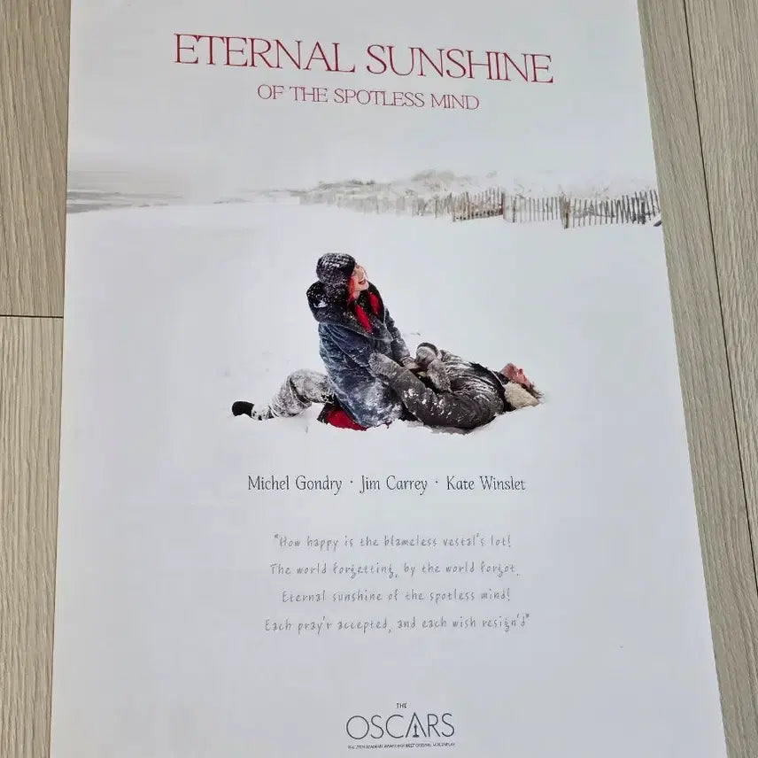 [BUNJANG] Eternal Sunshine of the Spotless Mind 20th Anniversary Special Limited Oscar Poster (A3) / [2023초희귀한정판]영화 이터널선샤인 20주년 기념 스페셜 한정 오스카 포스터(A3) 미셸 공드리 감독 포스터