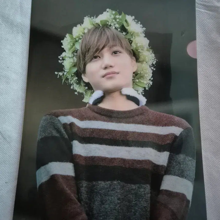 [BUNJANG] EXO Kai Clear File / 엑소 카이 투명 클리어파일