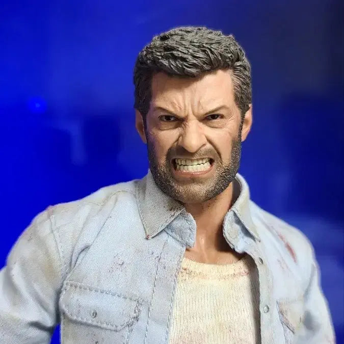 [BUNJANG] Burning Soul 1/6 Wolverine Logan (Blood Version Artist Custom) / 버닝소울 1/6 울버린 - 로건 (블러드 버전 작가 커스텀)