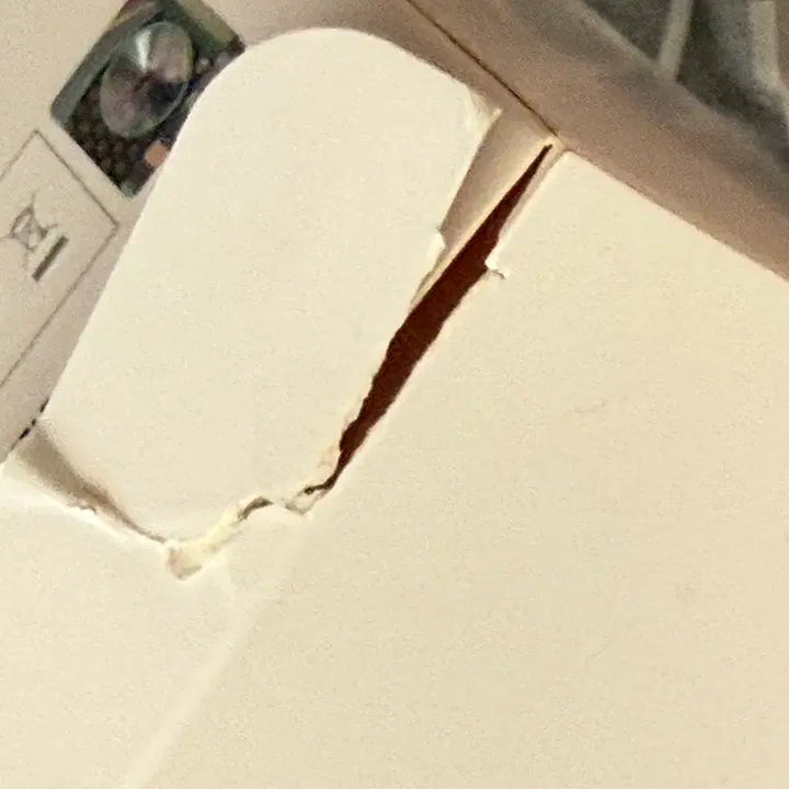 [BUNJANG] XDINZ Lightstick Flat Bong / 엑디즈 응원봉 플랫봉