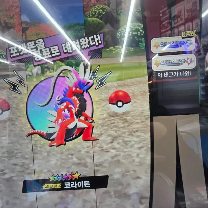 [BUNJANG] Pokemon TCG Tag Battle Series 2 6-Star Miraidon &amp; Koraidon / 포켓몬스터 태그스타 2탄 6성 코나이돈&amp;미라이돈
