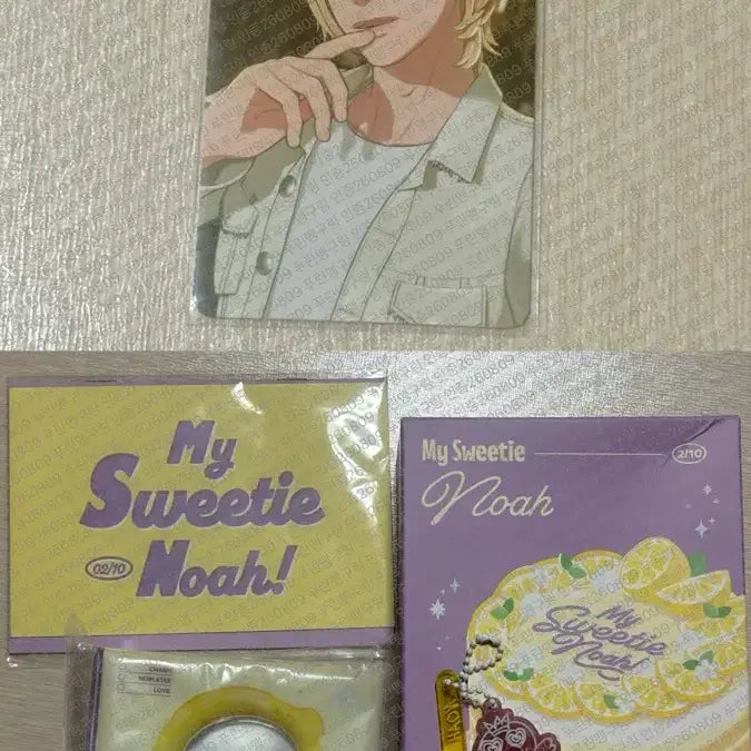 [BUNJANG] P L A Y R E V 2024 Birthday Kit (Excluding Eunho) / [빠른발송] 플레이브 2024 생일키트 (은호제외)