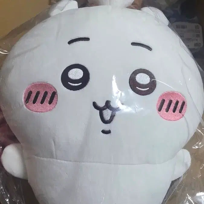 [BUNJANG] Chiikawa Lottery V A Prize &amp; Beetle B Prize Bundle Set / 치이카와쿠지 브이 A상+ 풍뎅이 B상 일괄
