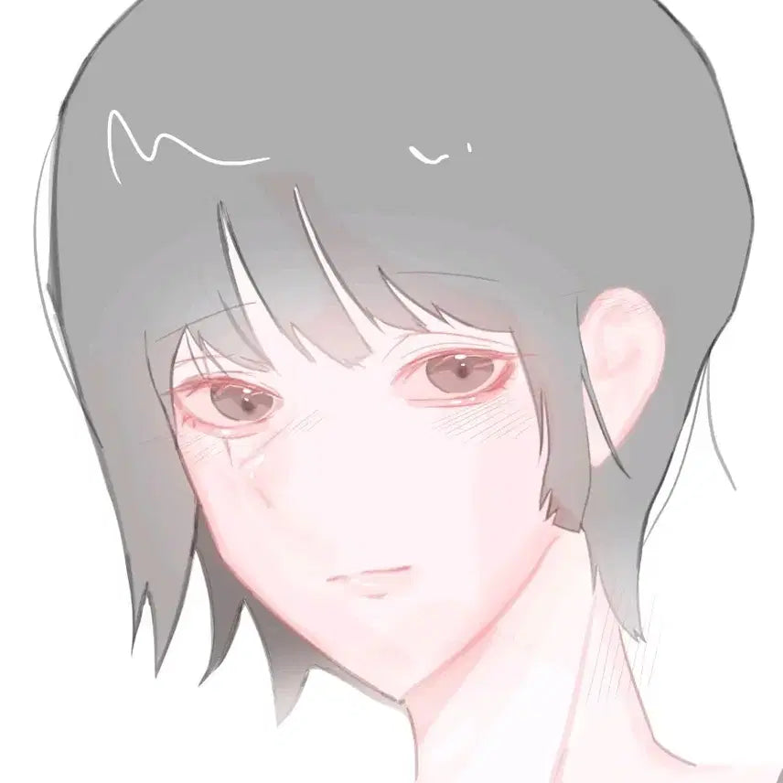 [BUNJANG] Custom Digital Portrait Commission (Semi-Transparent/No Border) / 무테? 반무테? 커미션 랜덤 퀄