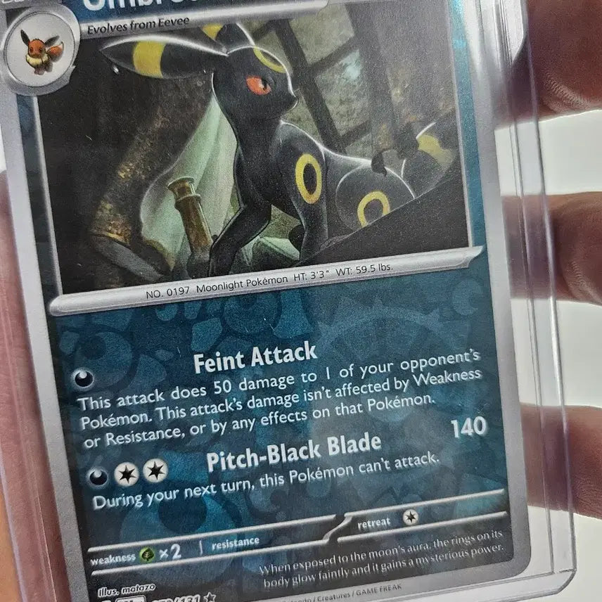 [BUNJANG] Pokemon Card Umbreon Reverse Holo, Halloween Bundle Set / 포켓몬카드 블래키 역홀로, 힐로윈 일괄