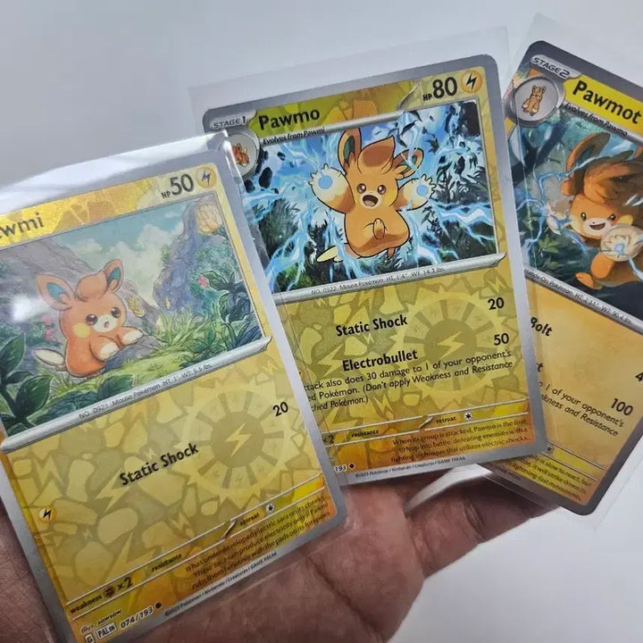 [BUNJANG] Pokemon Card Reverse Holo Bammo Bundle Set / 포켓몬카드 리버스홀로 빠모 일괄