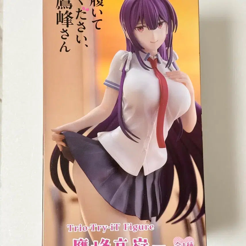 [BUNJANG] Takamine Minami Trip-Try-iT "Please Wear Me" Figure (Sealed) / 미개봉)타카미네 후류Trip-Try-iT 입어주세요 타카미네양 피규어