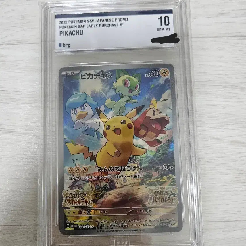 [BUNJANG] Pokemon TCG Japanese Promo Pikachu Card BRG 10 Graded / 포켓몬카드  프로모 피카츄 일판  brg 10