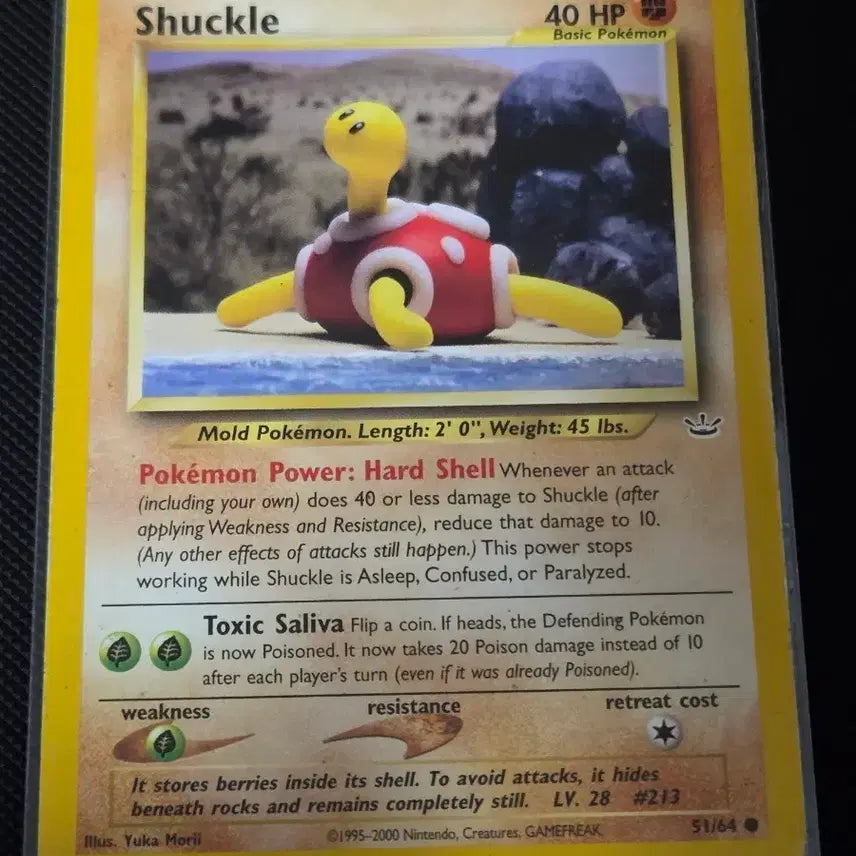 [BUNJANG] Pokemon Card Shuckle 213/51 (English) / 포켓몬카드 셔플 (Shuckle) 213/51 (영문판)