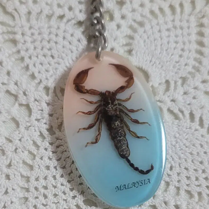 [BUNJANG] Real Scorpion Keychain Holder / 말레이시아 리얼 전갈 키링,키홀더/