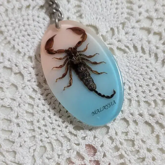 [BUNJANG] Real Scorpion Keychain Holder / 말레이시아 리얼 전갈 키링,키홀더/