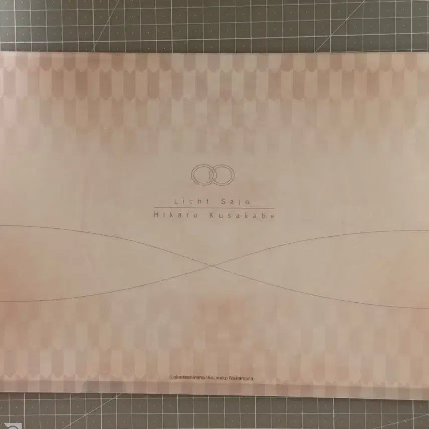 [BUNJANG] Doukyusei Illustrated A4 File / BL 동급생 일러스트 A4파일