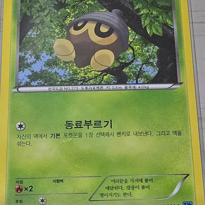 [BUNJANG] Pokemon Card Dottler 005/080 C / 포켓몬카드 도토링 005/080 C