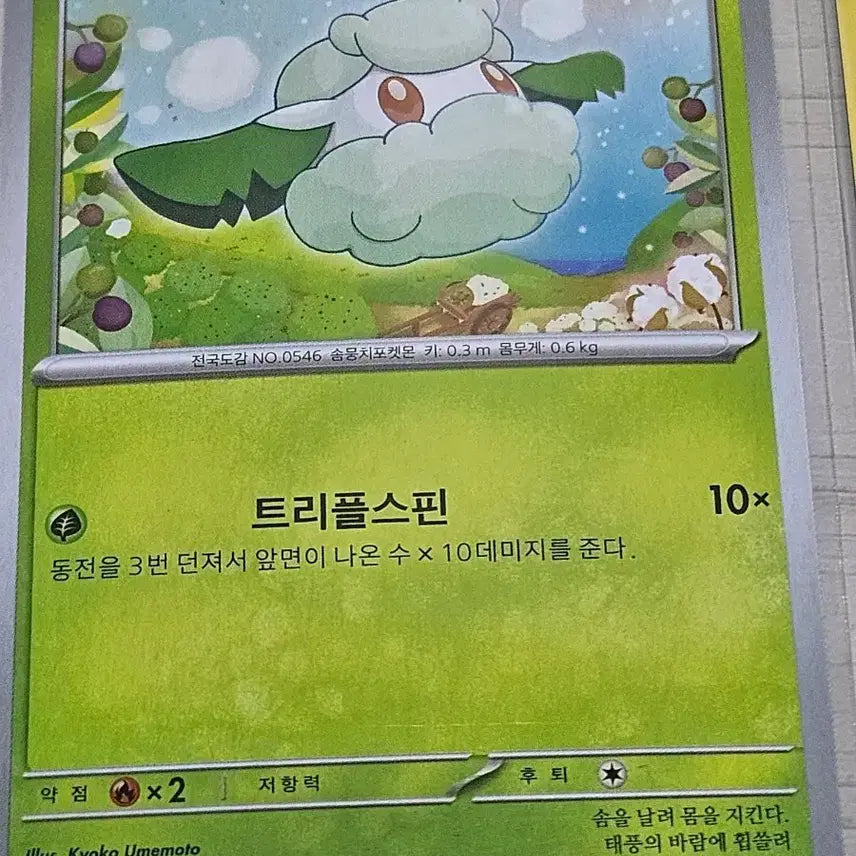 [BUNJANG] Pokemon Card Somian / [최저가] 포켓몬카드 소미안