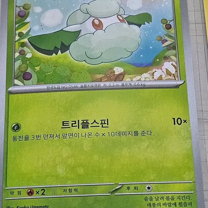 [BUNJANG] Pokemon Card Somian / [최저가] 포켓몬카드 소미안
