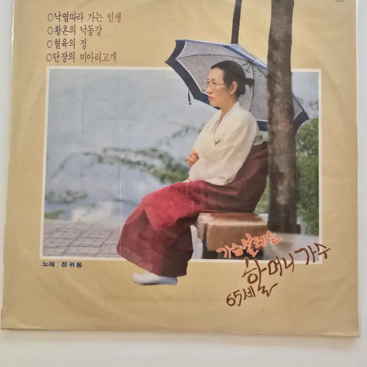 [BUNJANG] Jeong Gwi-dong LP Record - &