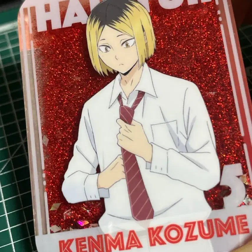 [BUNJANG] Haikyuu!! Kenma Kozume Similar Korotta Plush / 코즈메 켄마 유사코롯타