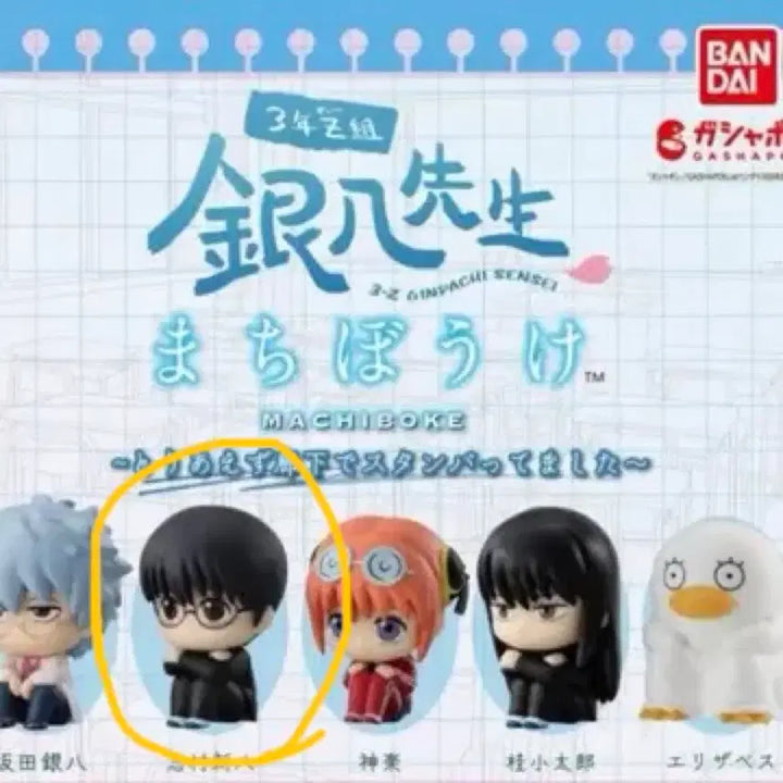 [BUNJANG] Gintama The Final Shinpachi Shimura Figure / 은혼 삼젯 마치보케 신파치