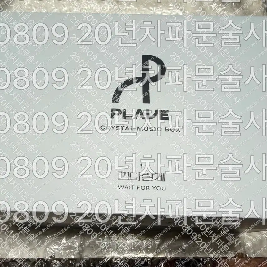 [BUNJANG] PLAVE "I Will Wait" Music Box Music Box / 플레이브 기다릴게 뮤직박스 오르골