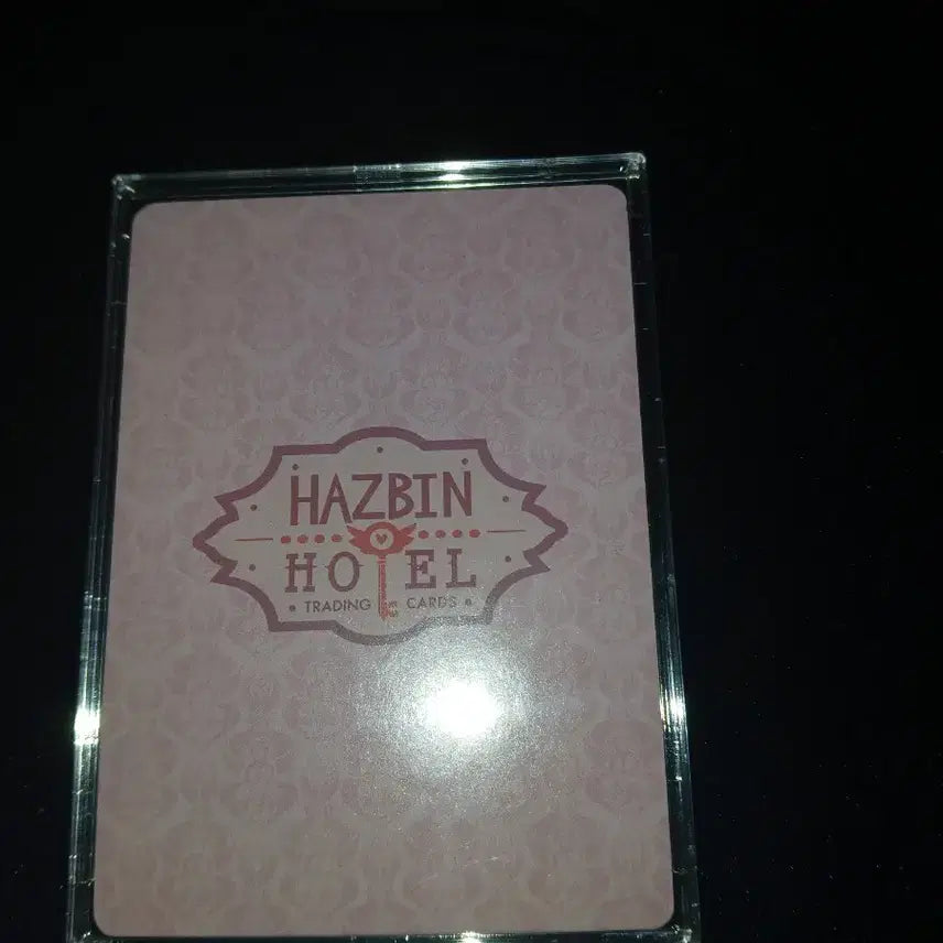 [BUNJANG] HAZZYS Hotel Velvet Pouch / 해즈빈호텔 벨벳 핑포
