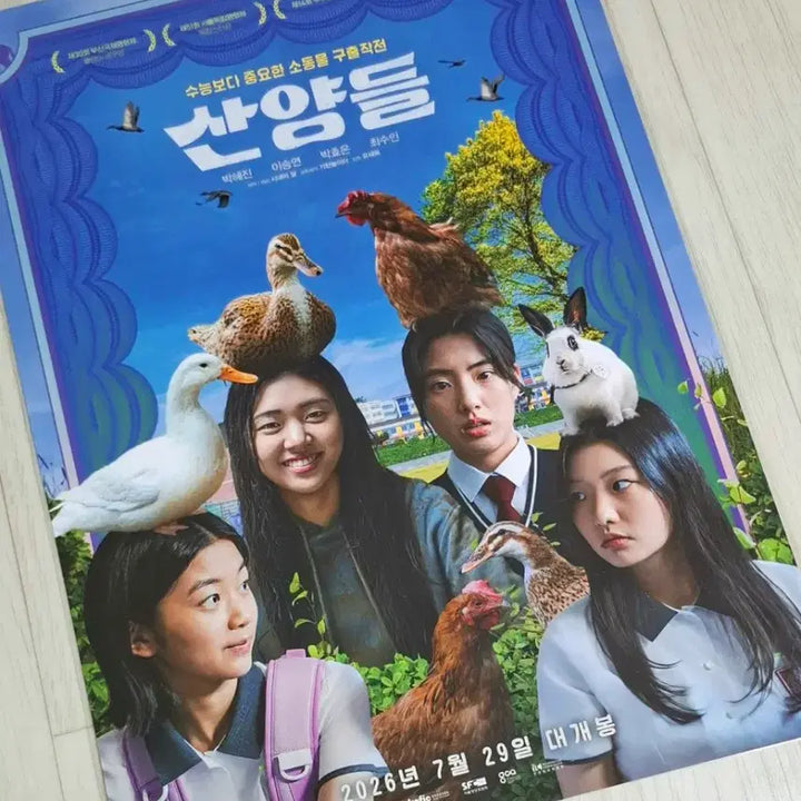 [BUNJANG] Samyang Animals Main Poster (A3) / 산양들 메인 포스터(A3)