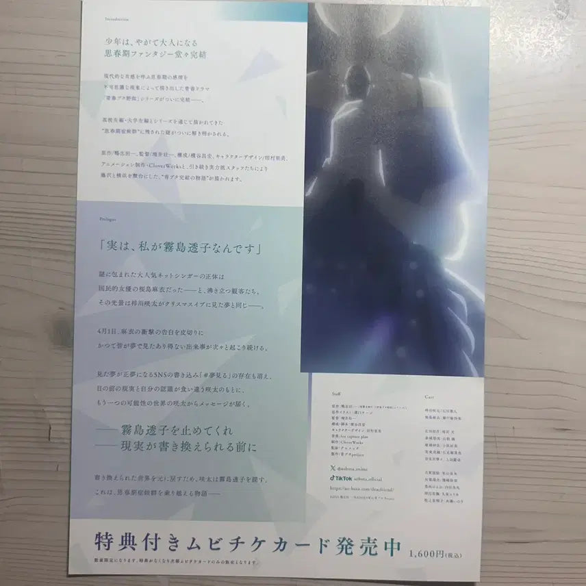[BUNJANG] Seishun Buta Yarou wa Yume wo Minai - Japanese Movie Pamphlet / [일본영화팜플렛]청춘 돼지는 디어 프렌드의 꿈을 꾸지 않는다