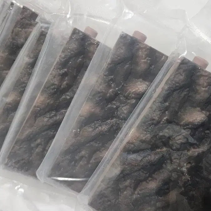 [BUNJANG] Biology Encyclopedia: Supi Base Set (8 Units) / 생물대도감 수피 8개