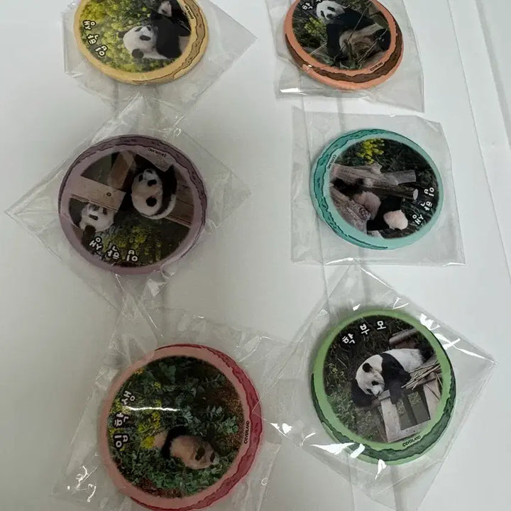 [BUNJANG] Everland Louishui New Term Badge Bundle Set / 에버랜드 루이후이 신학기 배지 드볼