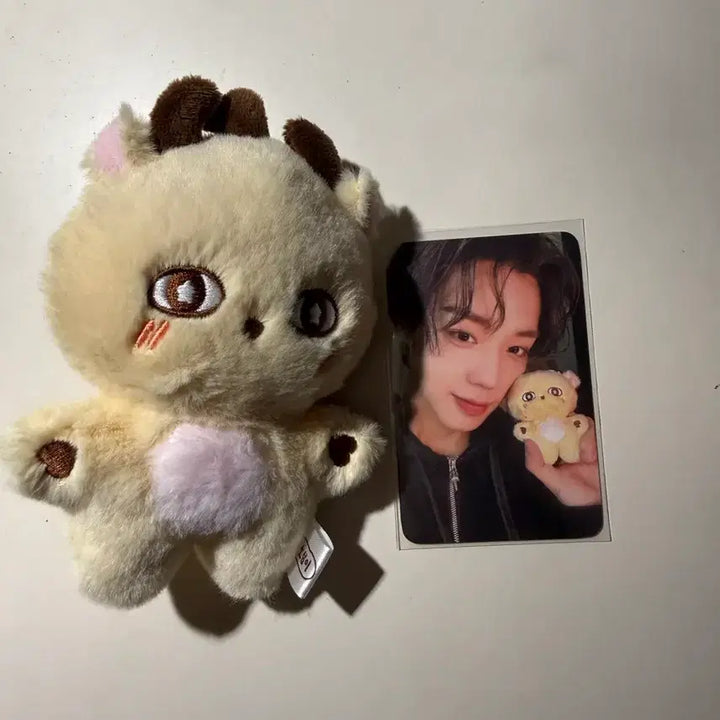 [BUNJANG] Park Ji Hoon "So Sim Yi" Plush Doll / 박지훈 소심이 인형