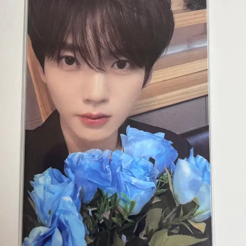 [BUNJANG] ZEROBASEONE Han Yu Jin Cake Photocard / 한유진 케이크 포카 앤더블 제베원