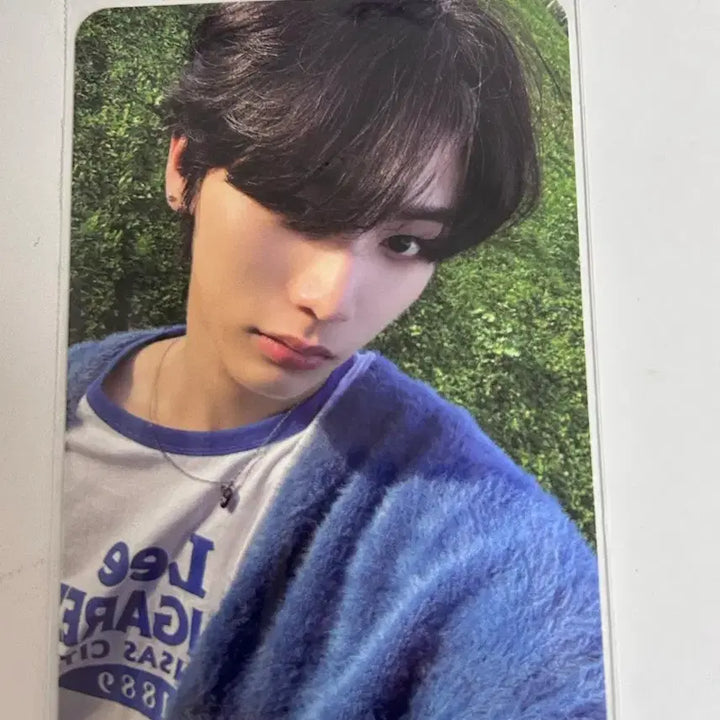 [BUNJANG] Taesan Photobook Photocard / 태산 포토북 포카