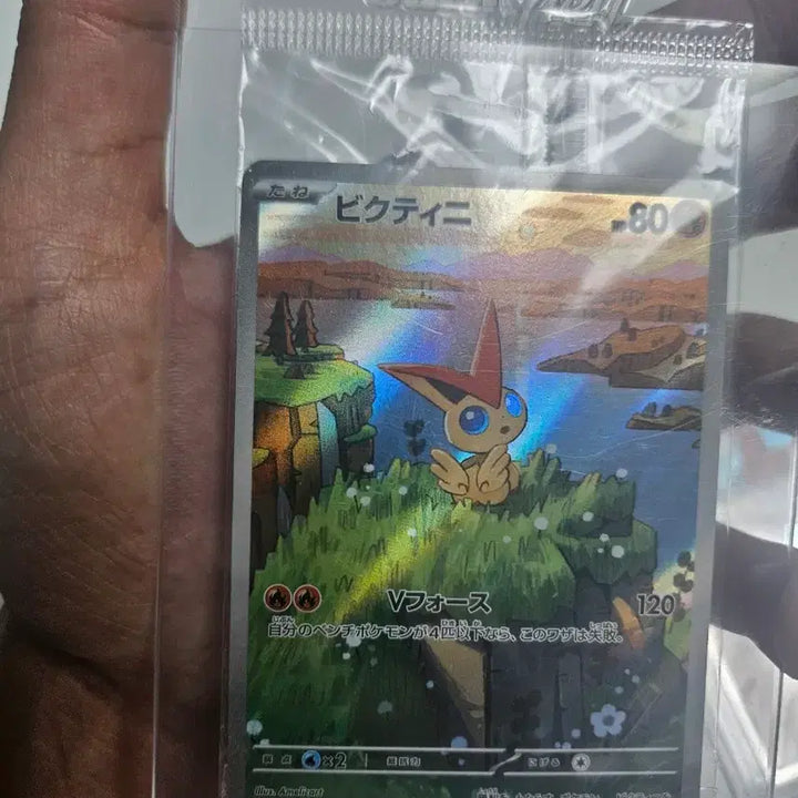 [BUNJANG] Pokemon Card Victini Promo Set (Sealed Included) / 포켓몬카드 일판 비크티니 프로모 미개봉 포함