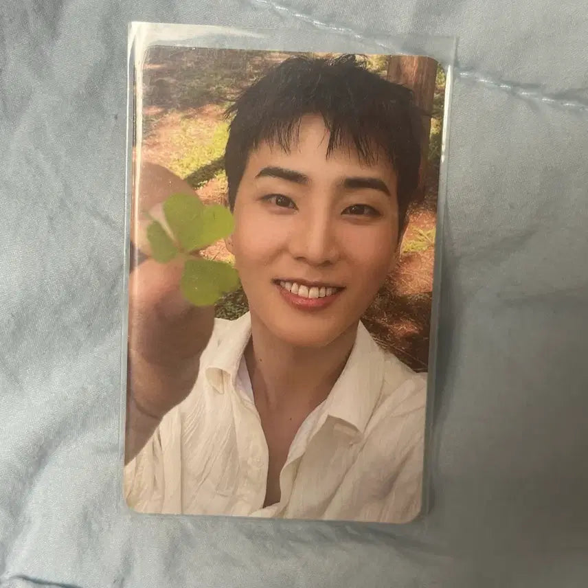 [BUNJANG] Young K Lucky With You Four-Leaf Clover Photocard / 영케이 레윗노 네잎클로버 포카 양도