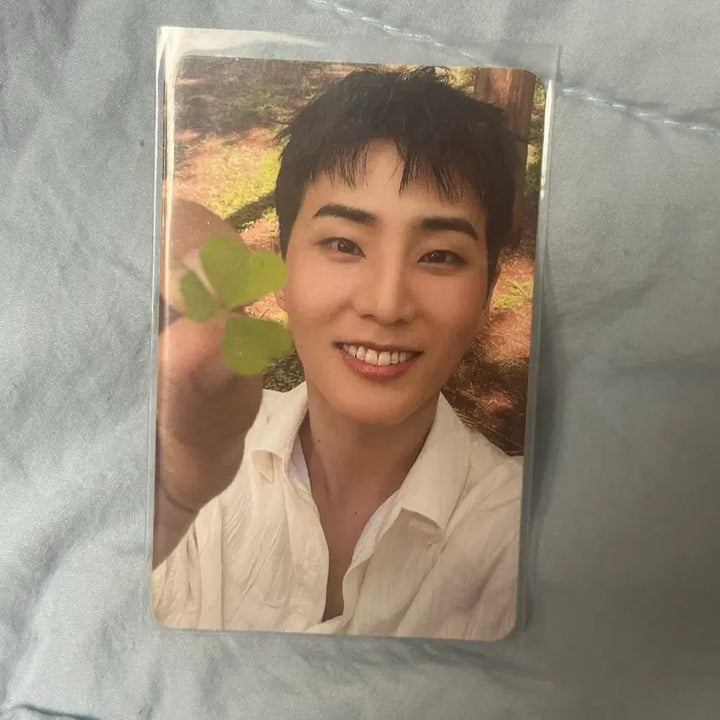 [BUNJANG] Young K Lucky With You Four-Leaf Clover Photocard / 영케이 레윗노 네잎클로버 포카 양도