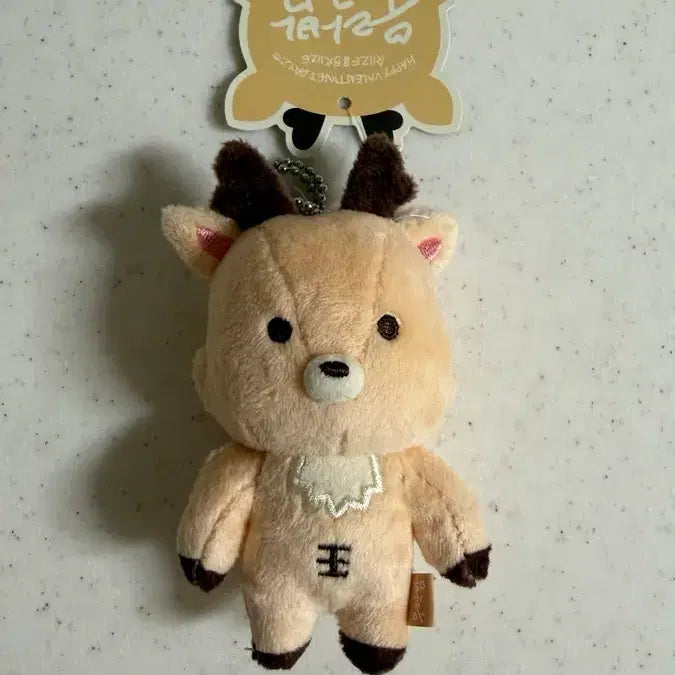 [BUNJANG] RIIZE Sungchan 1st Gen Dog Tag Set / 라이즈 성찬 우락밤 1기 택,군번줄 o