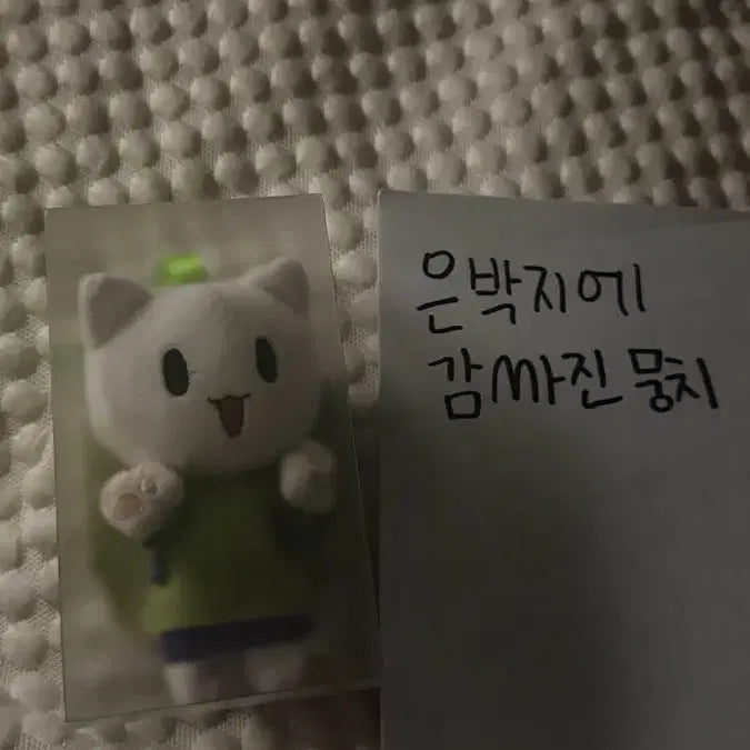 [BUNJANG] Kamisama Kiss Tomoe Nanami Cat Plush / 오신령 오늘부터 신령님 토모에 나나미 고양이 인형 애니