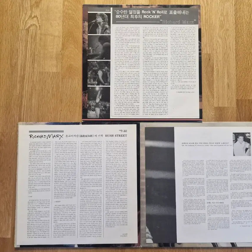 [BUNJANG] Richard Marx LP Bundle Set (Repeat Offender, Rush Street, Paid Vacation) / [R] Richard Marx LP (2~4집) 3종 일괄
