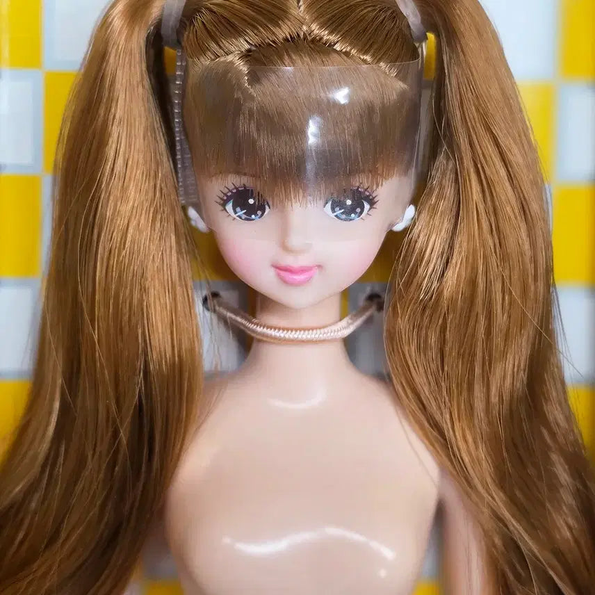 [BUNJANG] Licca Castle Jenny Friend Valentine Mirai Doll / licca castle 리카캐슬 제니프렌드 발렌타인 미라이