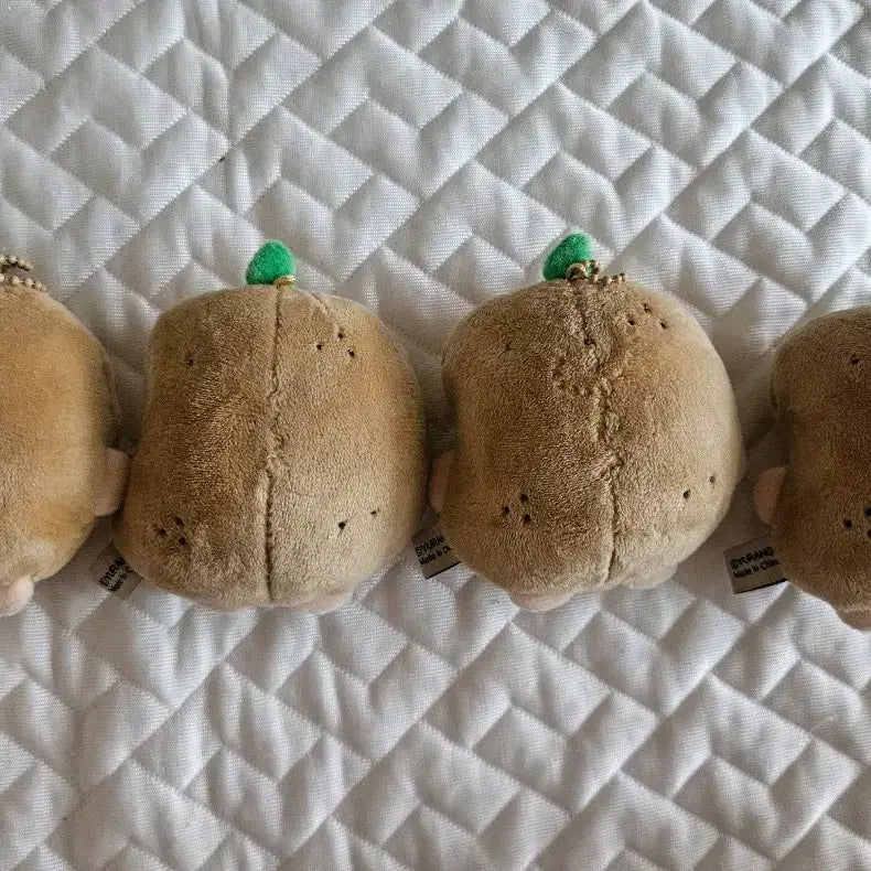 [BUNJANG] Manggeureonjin Gom (MangGom) Potato Doll Bundle Set / 망그러진곰 망곰이 감자 인형 일괄