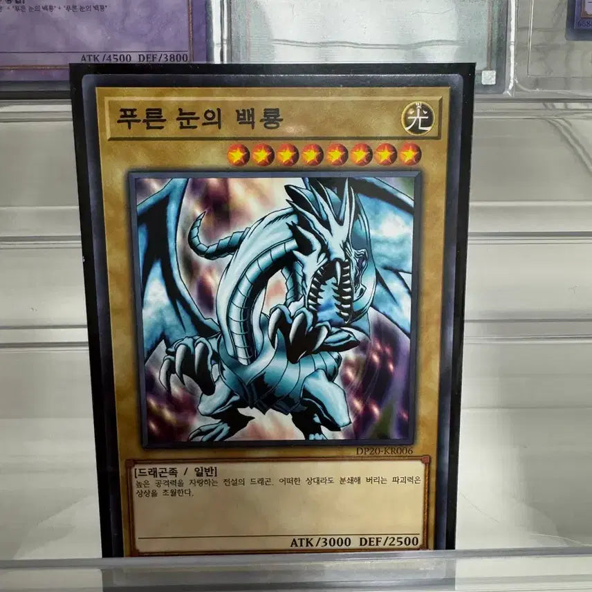 [BUNJANG] Yu-Gi-Oh! Booster Packs Set / 유희왕 푸백 세트