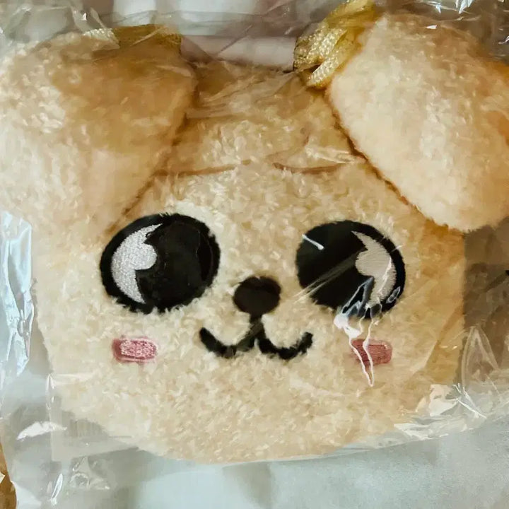 [BUNJANG] Stray Kids Stray Kids Run It Japan MD Shoulder Pouch (Sealed) / 미개봉 퍼핌 숄더 파우치 스키즈 런잇 재팬 일본 run it 엠디