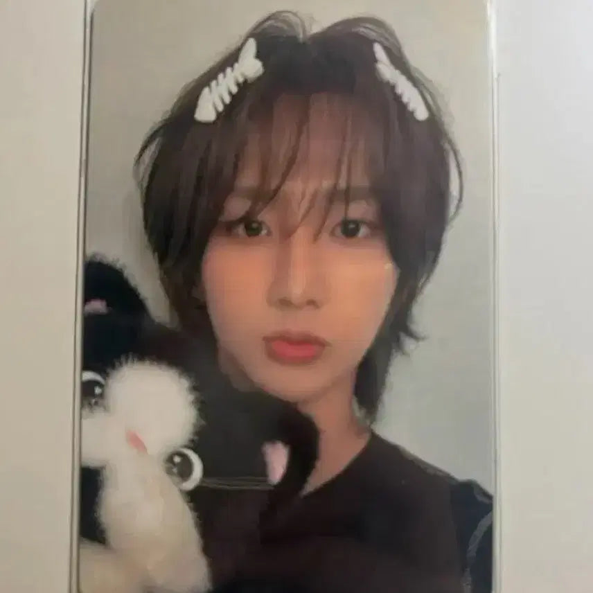 [BUNJANG] Etoile 82 Major Namseongmo Seongmo Photocard / 에투메 82메이저 남성모 성모 포카