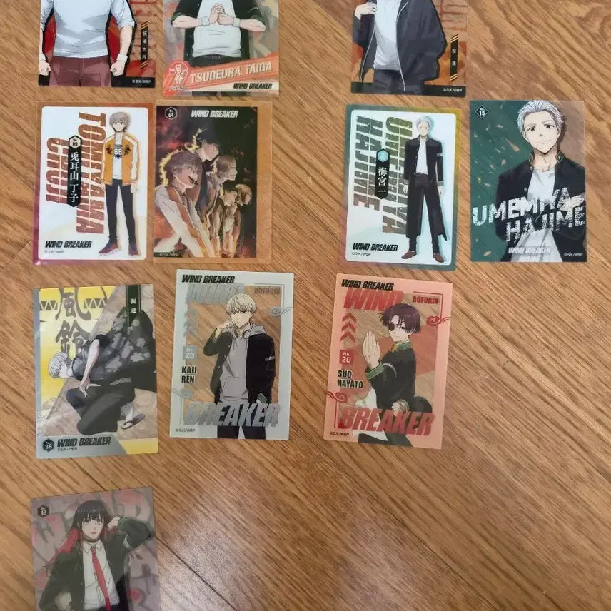 [BUNJANG] Windbreaker Card / 윈드브레이커 카드