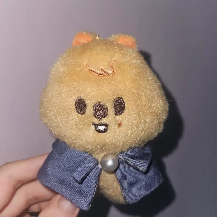 [BUNJANG] Stray Kids Han Mini Hanquokka Photocard / 스트레이키즈 스키주 한 미니 한쿼카 양도